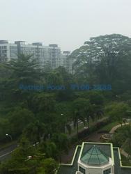 Springdale Condominium (D21), Condominium #81283162